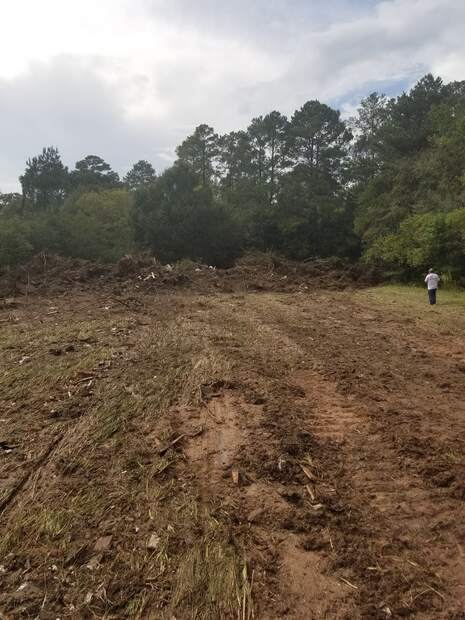 Site Clearing project photo 7